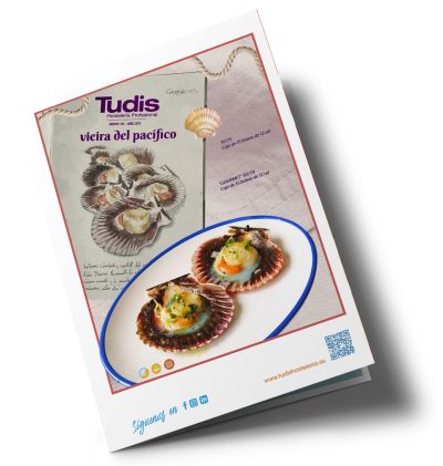catalogo tudis congelados para hostelería Vitoria 2024